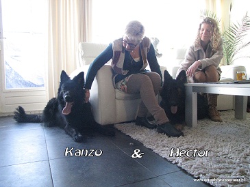 Hector bij Kanzo in Noordwijk thuis